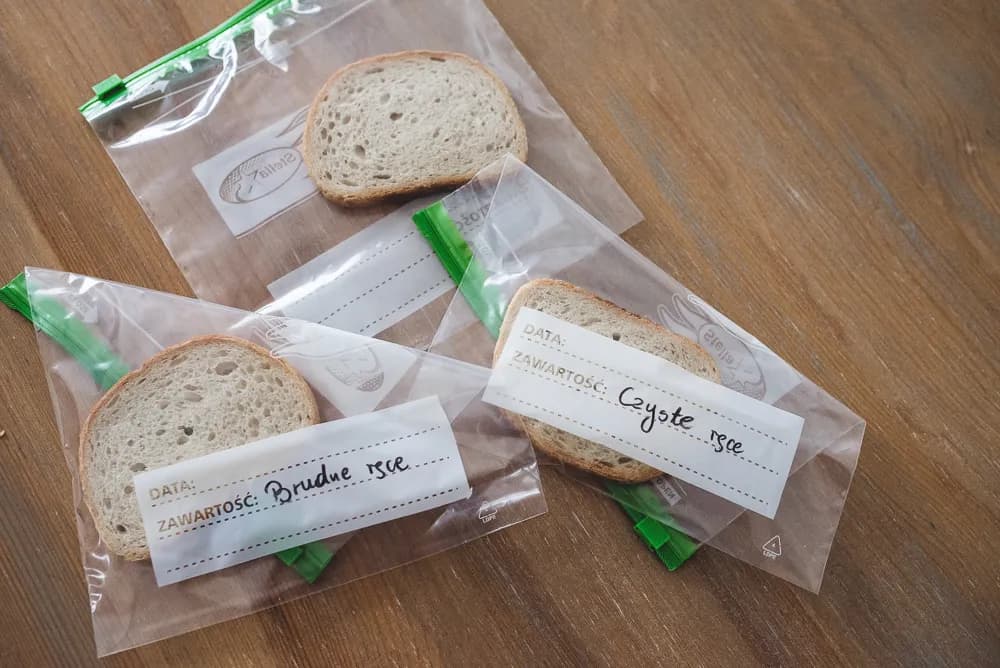 Eksperyment z chlebem: naucz dziecko mycia rąk!