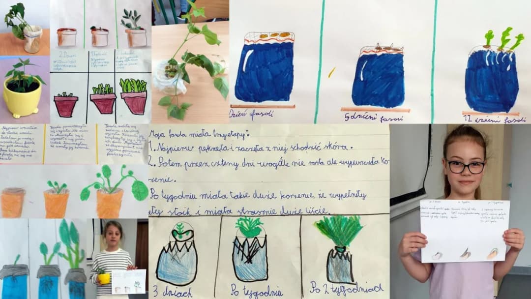 Eksperyment z fasolą: Jak przeprowadzić fascynujące doświadczenie dla dzieci