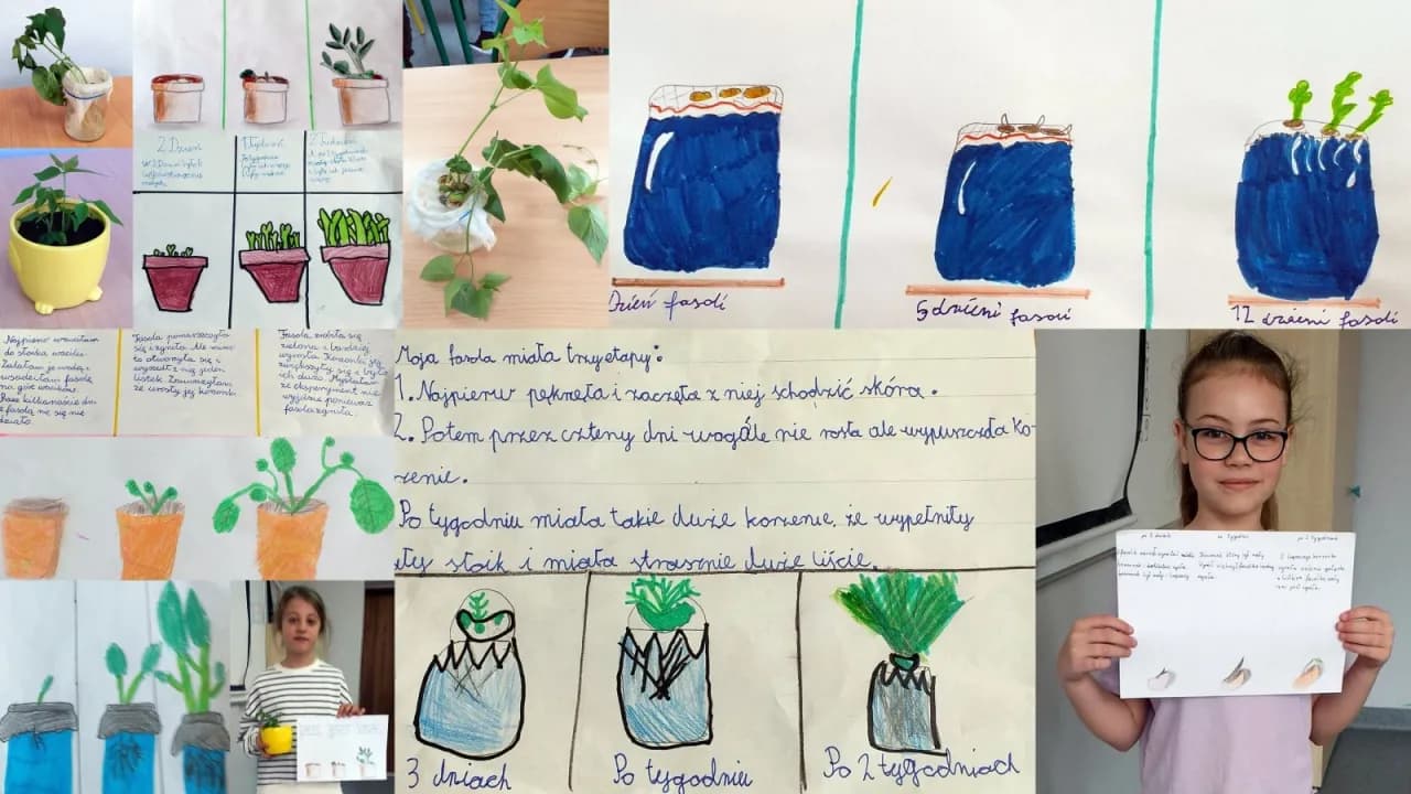 Eksperyment z fasolą: Jak przeprowadzić fascynujące doświadczenie dla dzieci