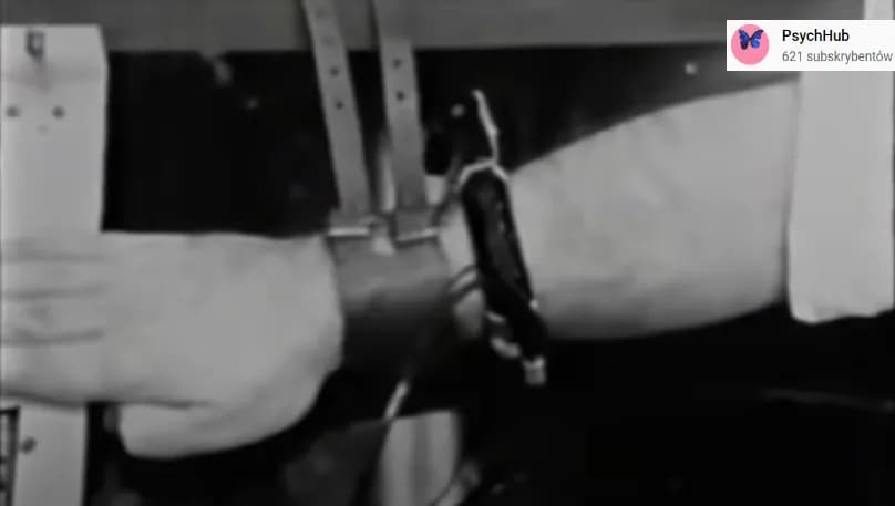 Eksperyment Milgrama: Dlaczego posłuszni ludzie krzywdzą innych?