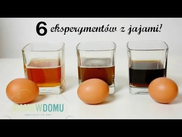 Proste eksperymenty z jajkiem w domu: nauka dla dzieci