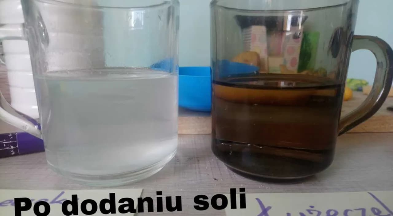 Zaskakujące efekty eksperymentu z ziemniakiem i solą w osmozie